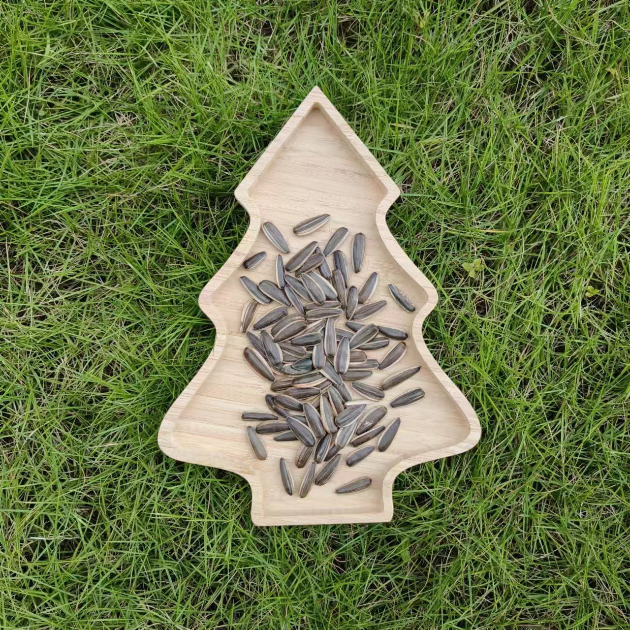 Sunflower Seeds Nut Tray Home