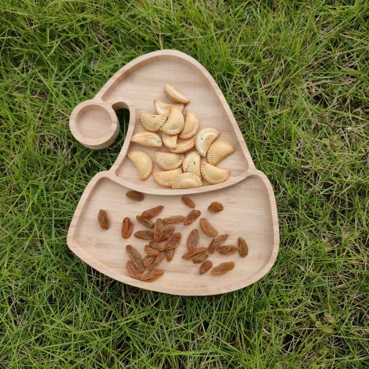 Sunflower Seeds Nut Tray Home